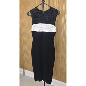 Alex Perry Black/White Midi Sheath Cocktail Dress Exposed Back Zipper Size 2